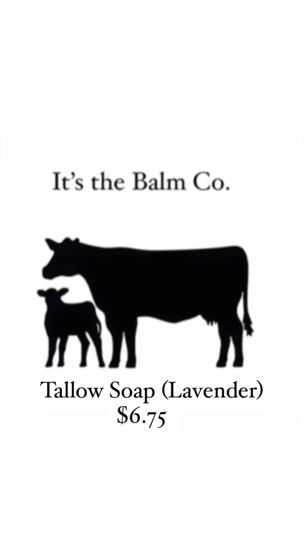 TALLOW SOAP - LAVENDER