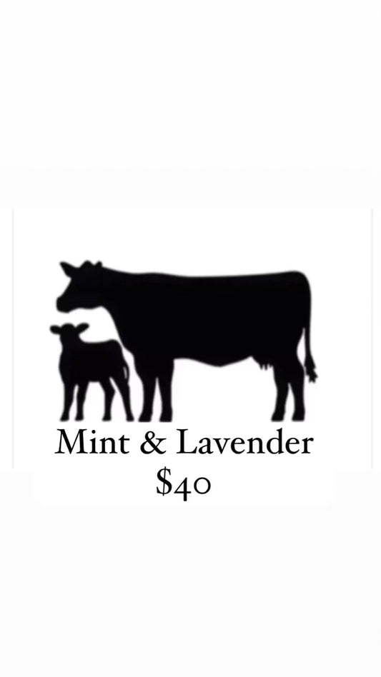 4oz - Mint & Lavender Tallow Balm