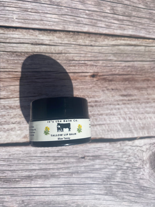1/2 oz - TALLOW LIP BALM - BLUE TANSY