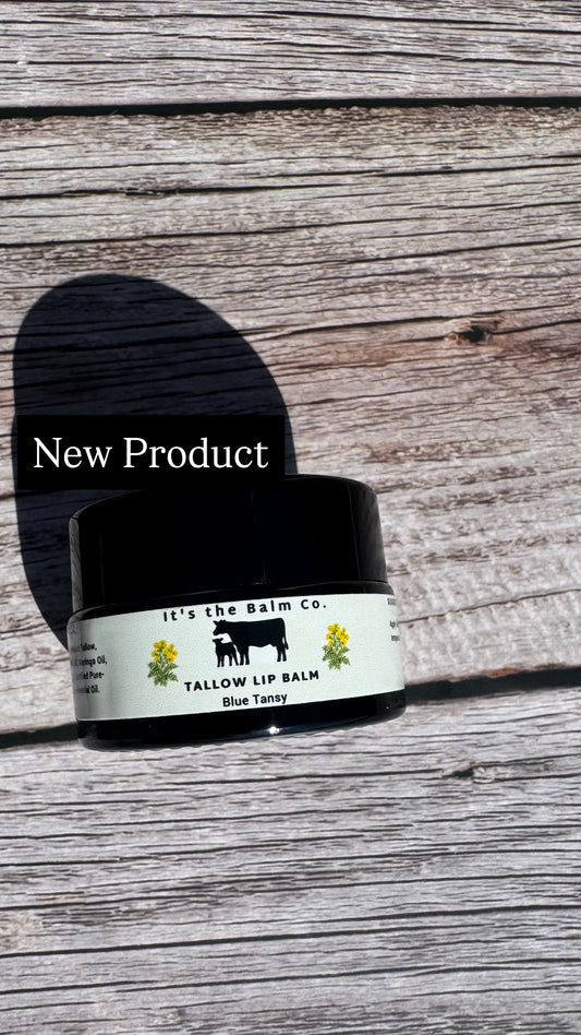 1/2 oz - TALLOW LIP BALM - BLUE TANSY